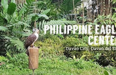 Philippine Eagle Center